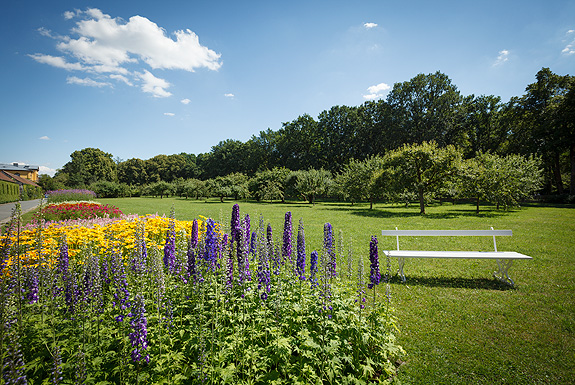 Picture: View of the orchard