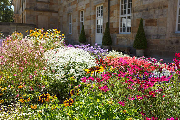 Picture: Flowers in the Court Garden