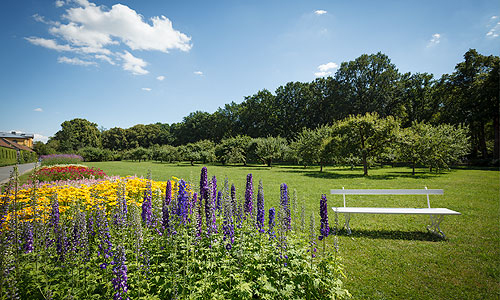 Picture: View of the Court Garden