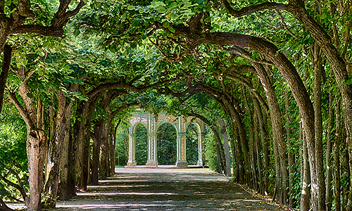 Picture: Pergola