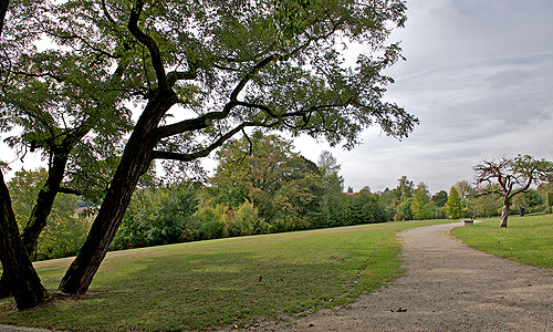 picture: Path in the Court Garden