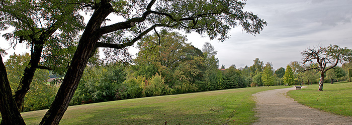 Bild: Spazierweg im landschaftlichen Teil des Hofgartens