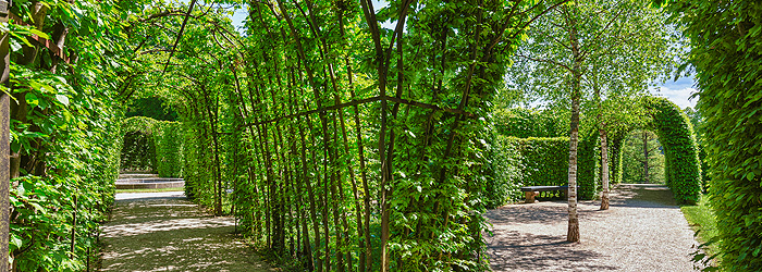 Bild: Labyrinth im Schlosspark Fantaisie