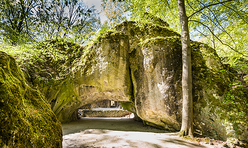 Bild: Kalypsogrotte