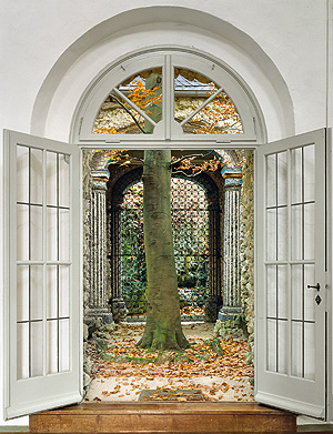 Picture: Beech tree in the inner courtyard of the Oriental Building