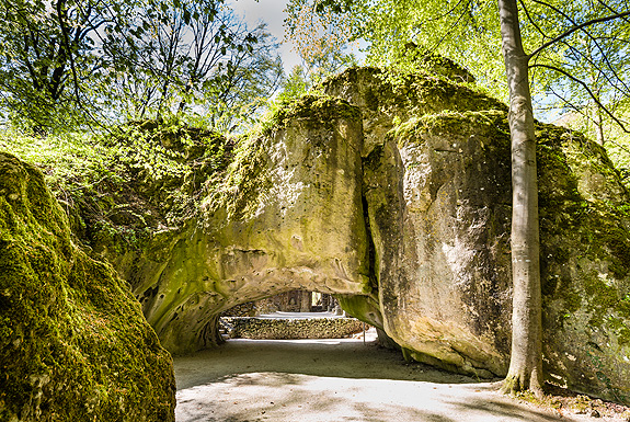 Picture: Rock Garden, Calypso Grotto